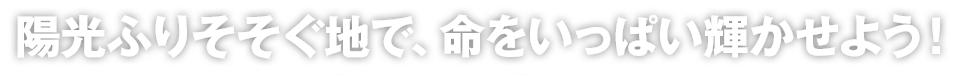 陽光ふりそそぐ地で、命をいっぱい輝かせよう！